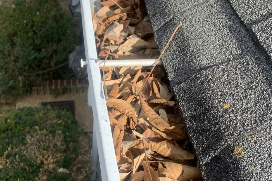 Gutter Cleaning Summerfield