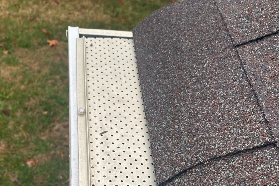 Gutter Cleaning Summerfield