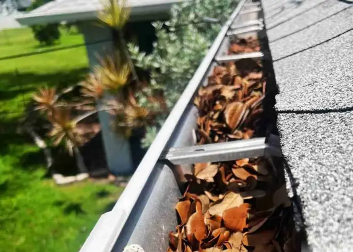 Gutter Cleaning Summerfield home page